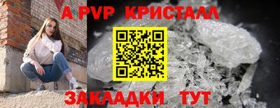 стаф Кизляр