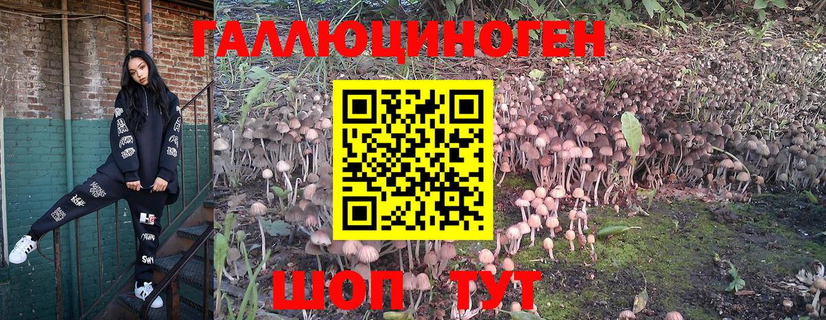 Конопля  Красный Сулин  Вход с VPN  Меф МЯУ МЯУ   Cocaine  МДМА  Магазины продажи наркотиков  ГАШИШ 